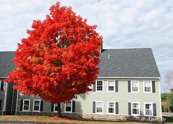 The Residence at Freeman Lake