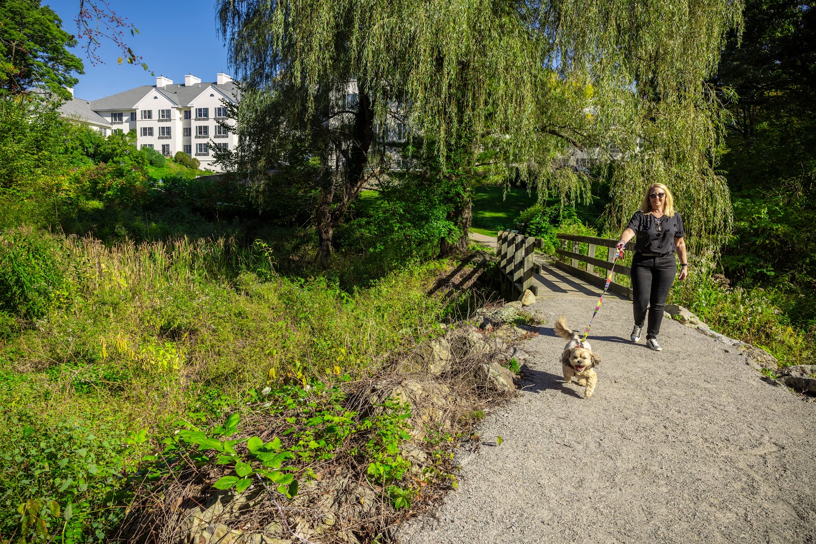 Springhouse Senior Living