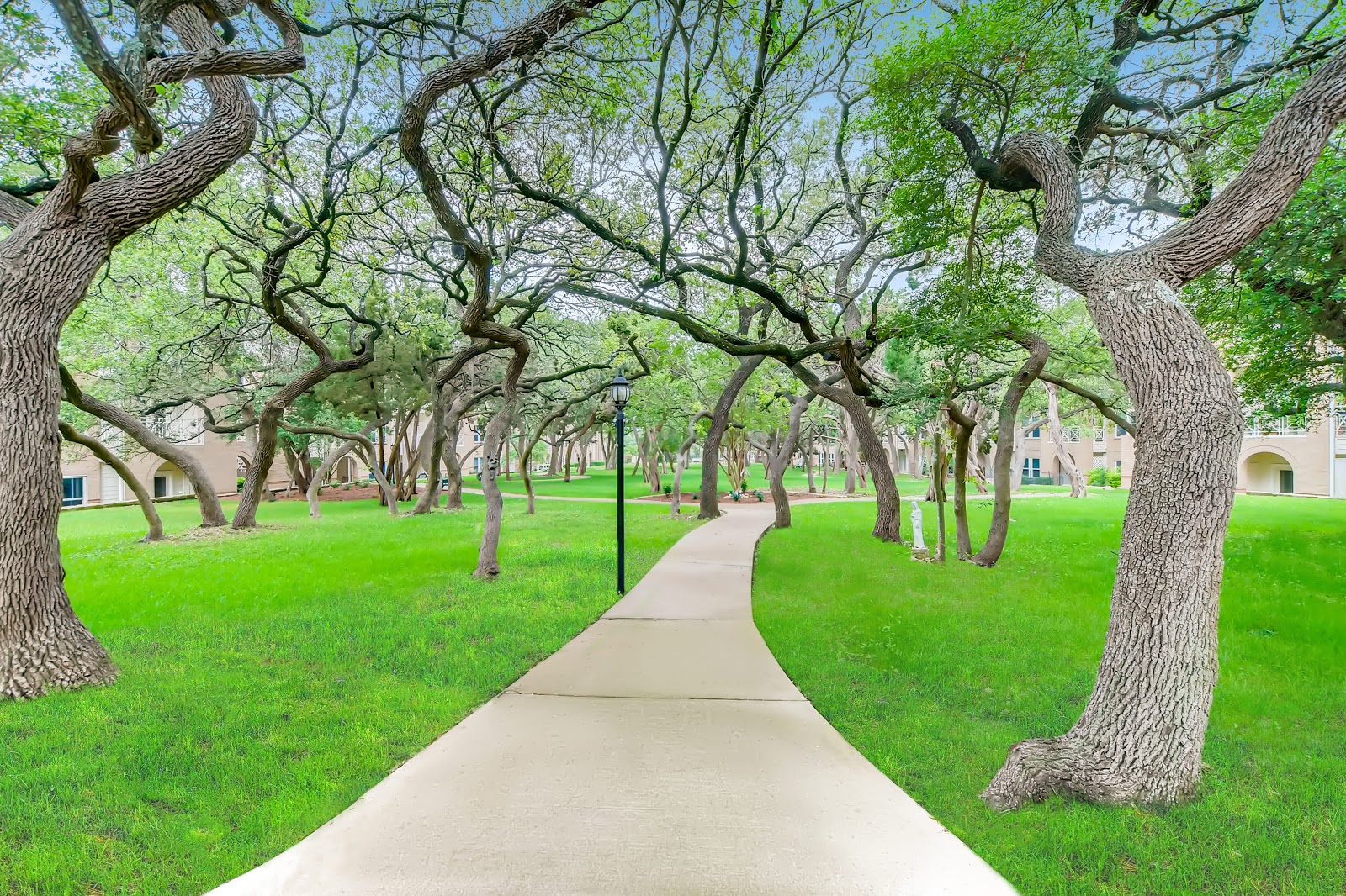 Asher Point Senior Living of Austin