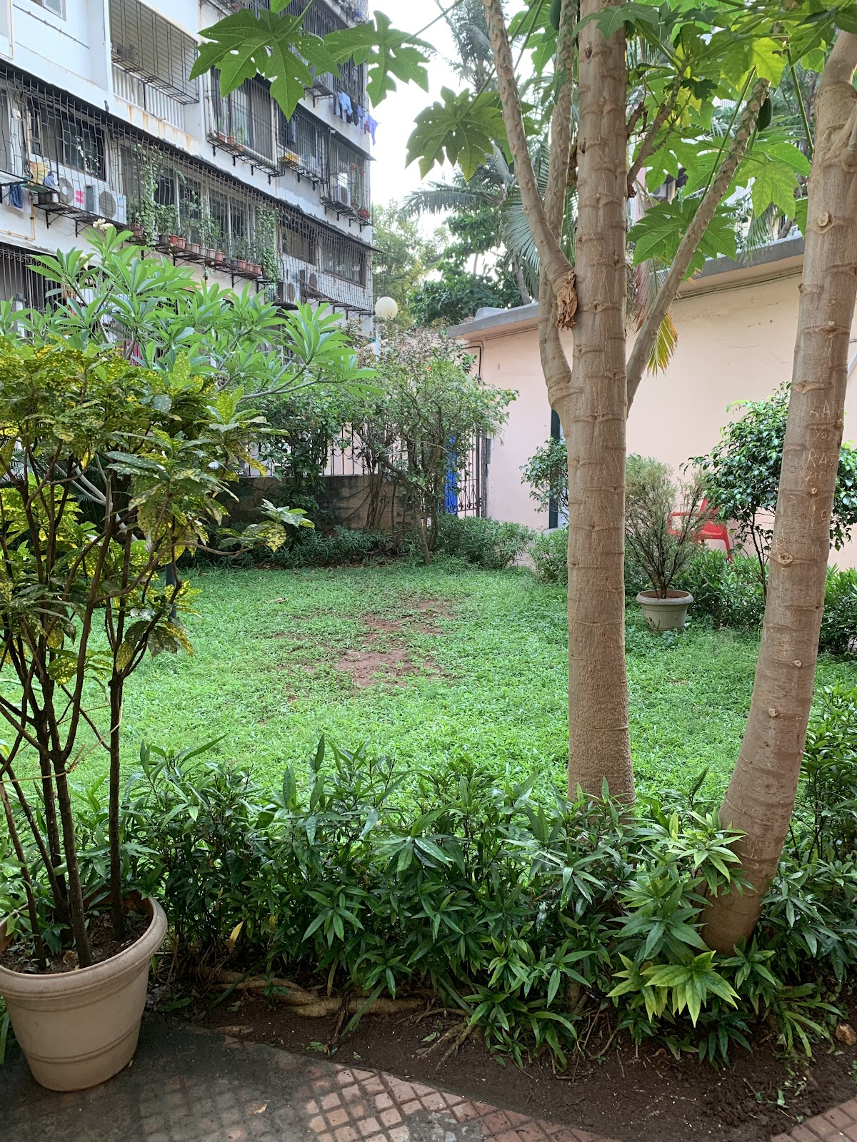 Aaji Care Elder Care Centre | Premium Old Age Home| Assisted Living Centre in Versova, Mumbai