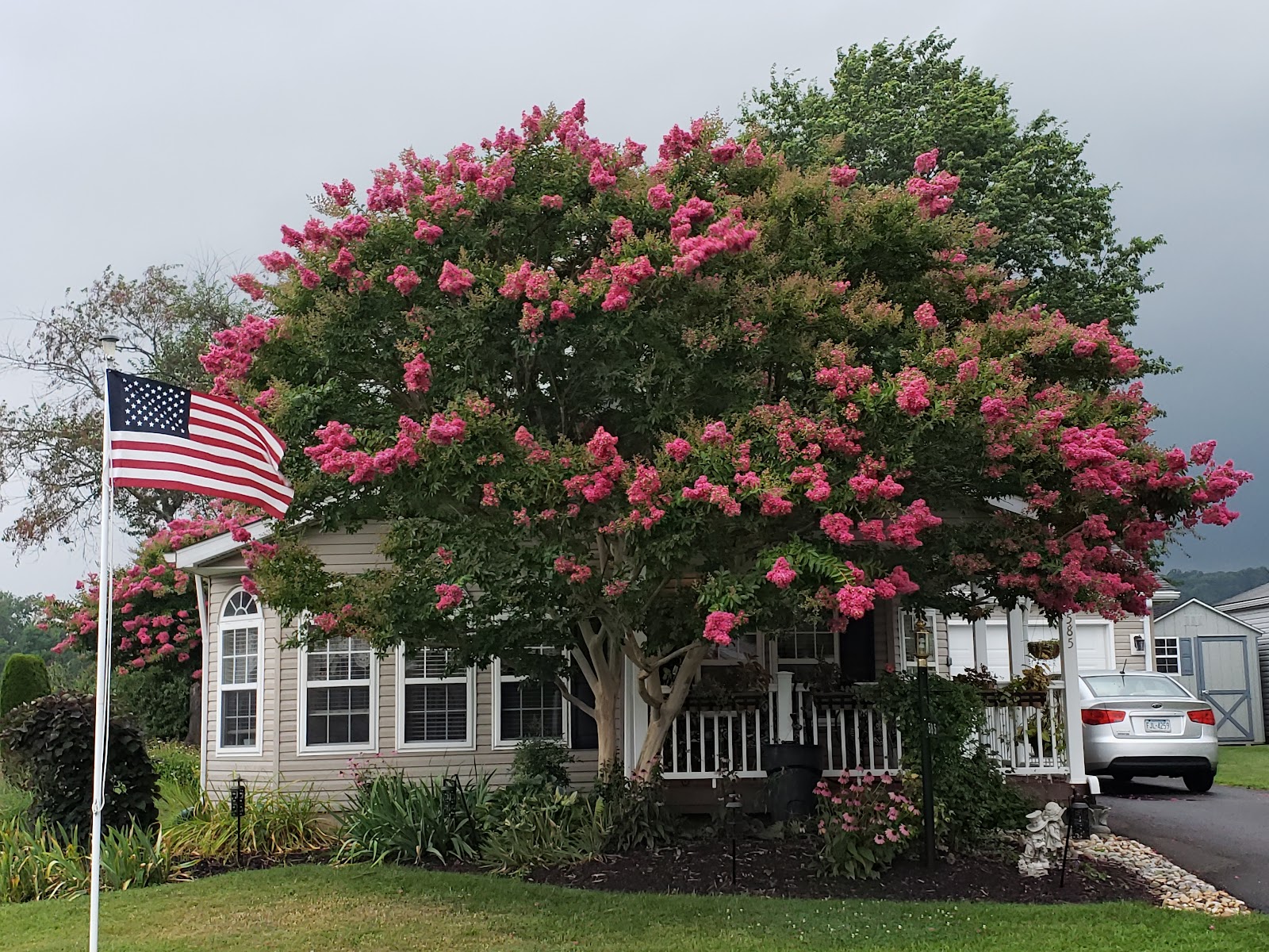 Village of Buckingham Springs