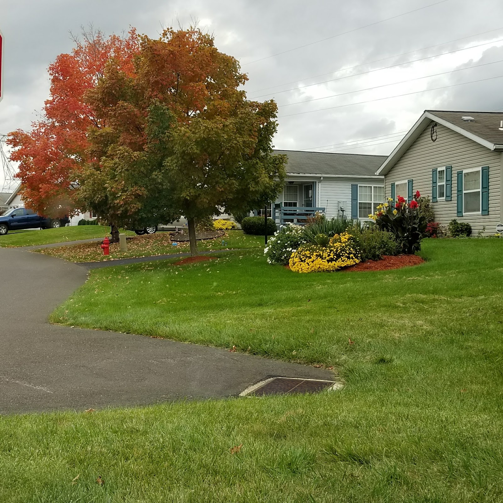 Village of Buckingham Springs