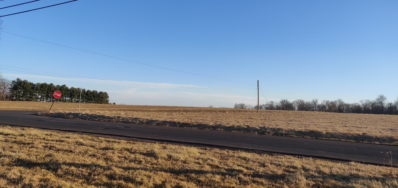 Village of Buckingham Springs