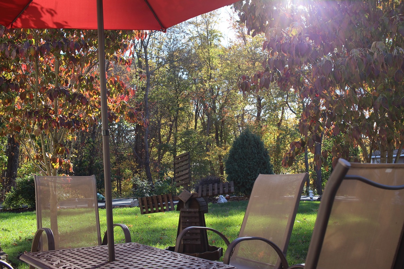 Shady Oaks Assisted Living LLC