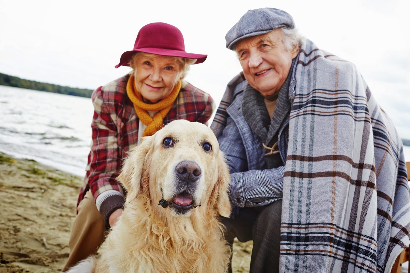 Care Solutions LLC -Senior Living Advisor