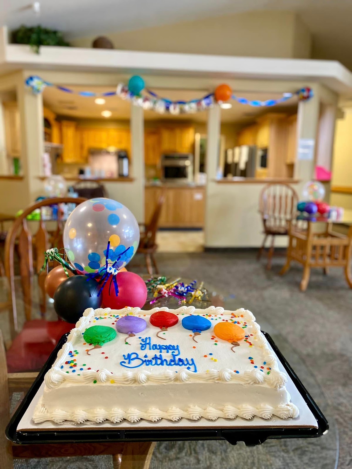 Swan Falls Assisted Living