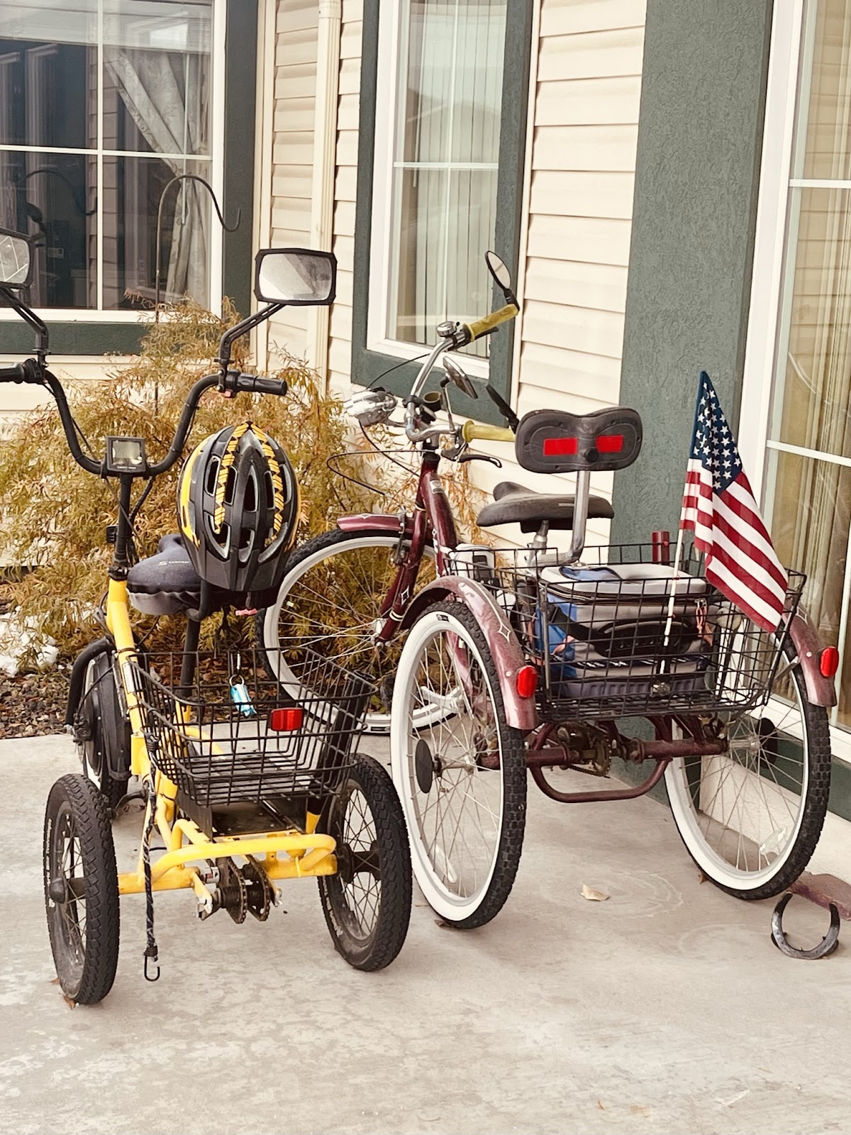 Swan Falls Assisted Living