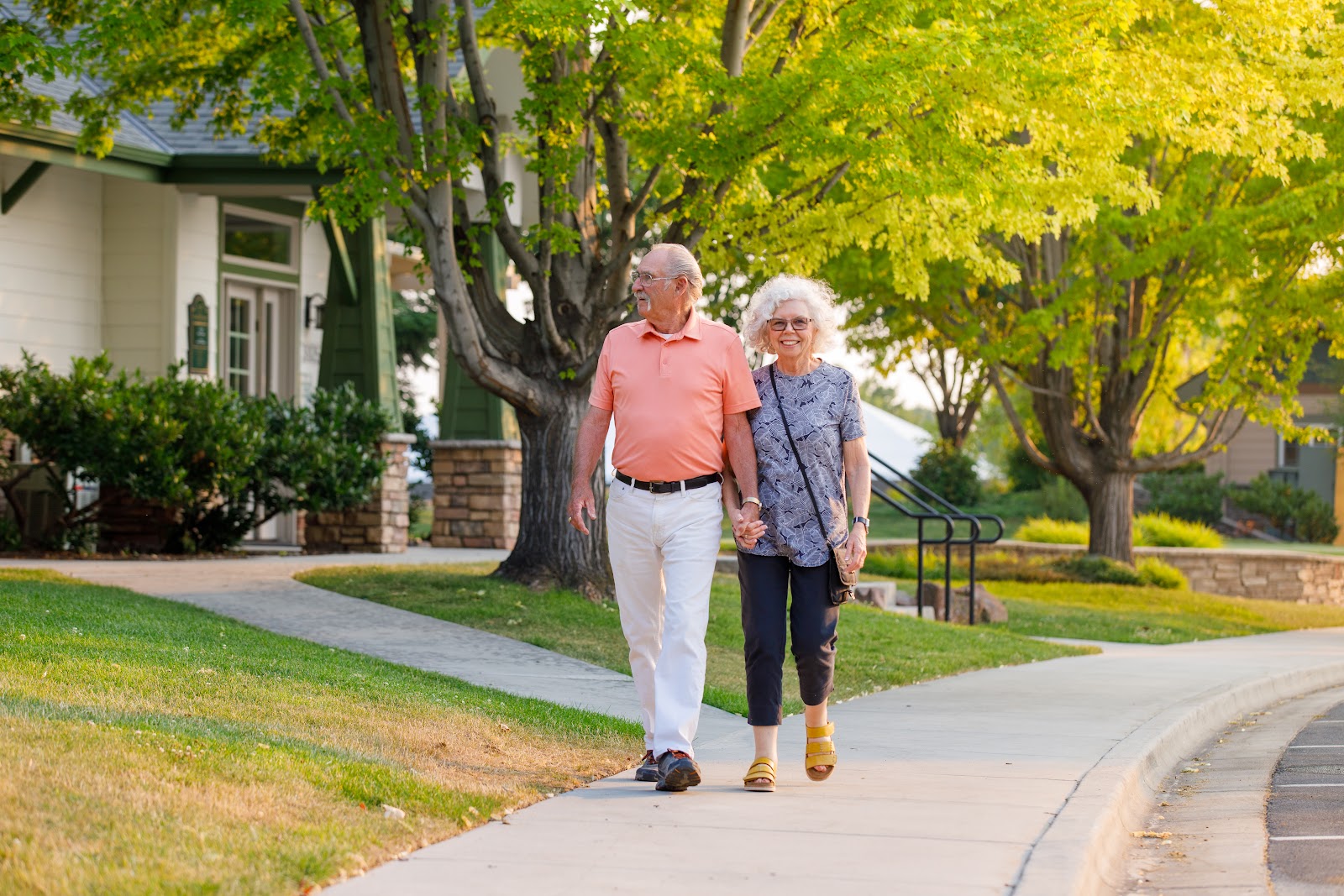 Touchmark at Meadow Lake Village