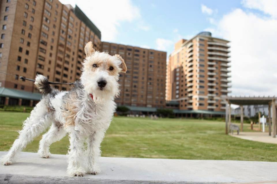 Westminster-Canterbury on Chesapeake Bay