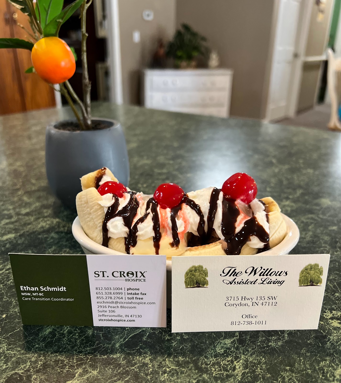 The Willows Assisted Living
