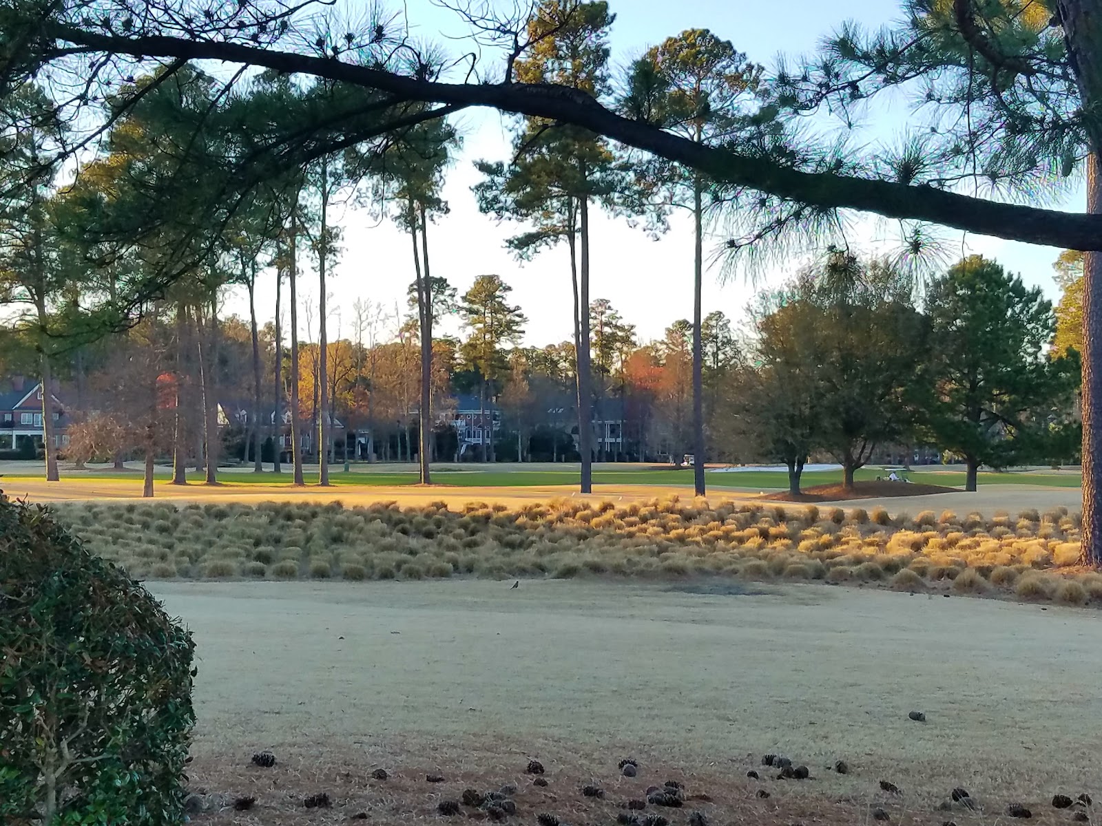 Willow Creek Senior Living Apartments