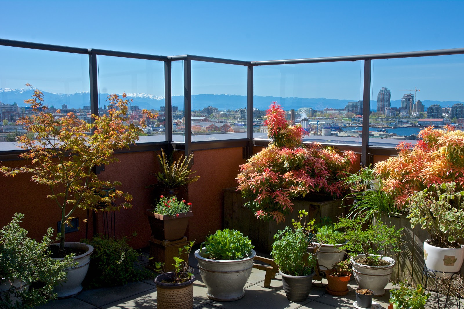 Ross Place Seniors Community