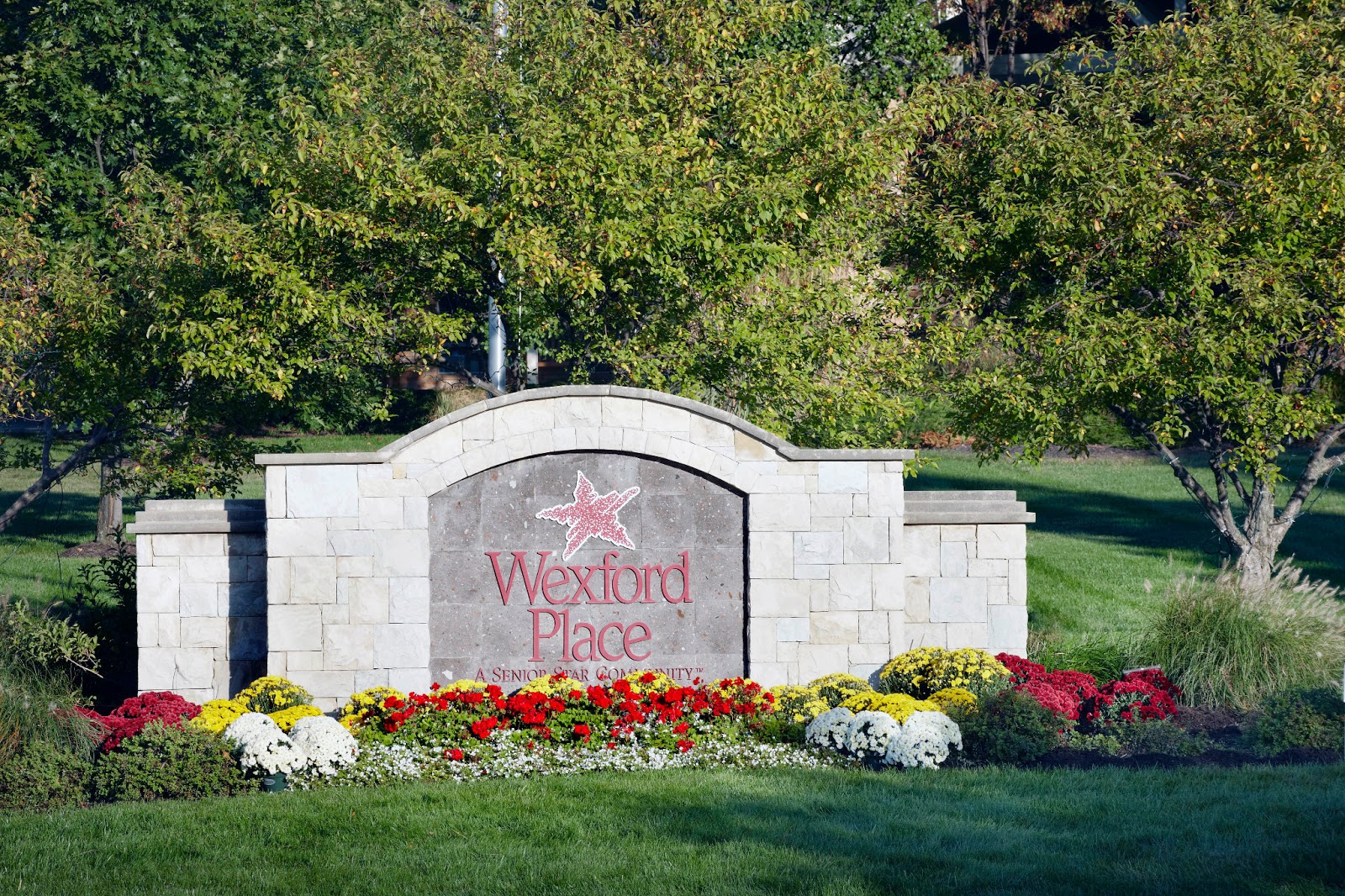 Senior Star at Wexford Place