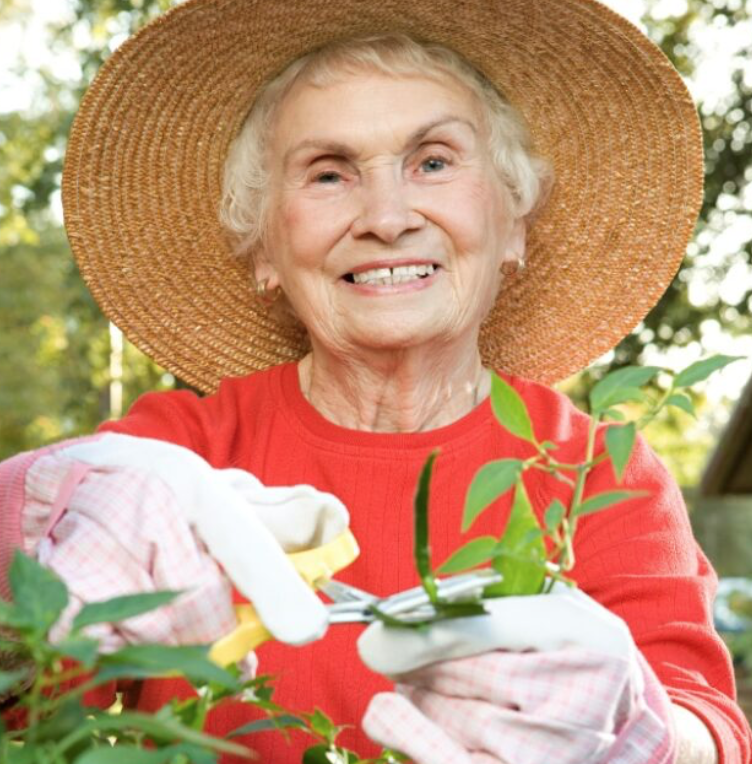 Encore Assisted Living and Memory Care at Maplewood