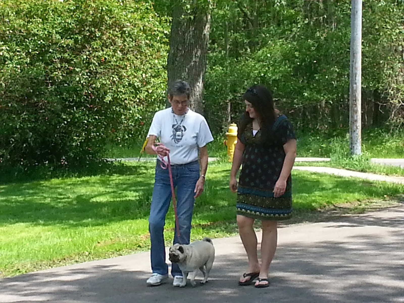 Compassionate Home Care of New York