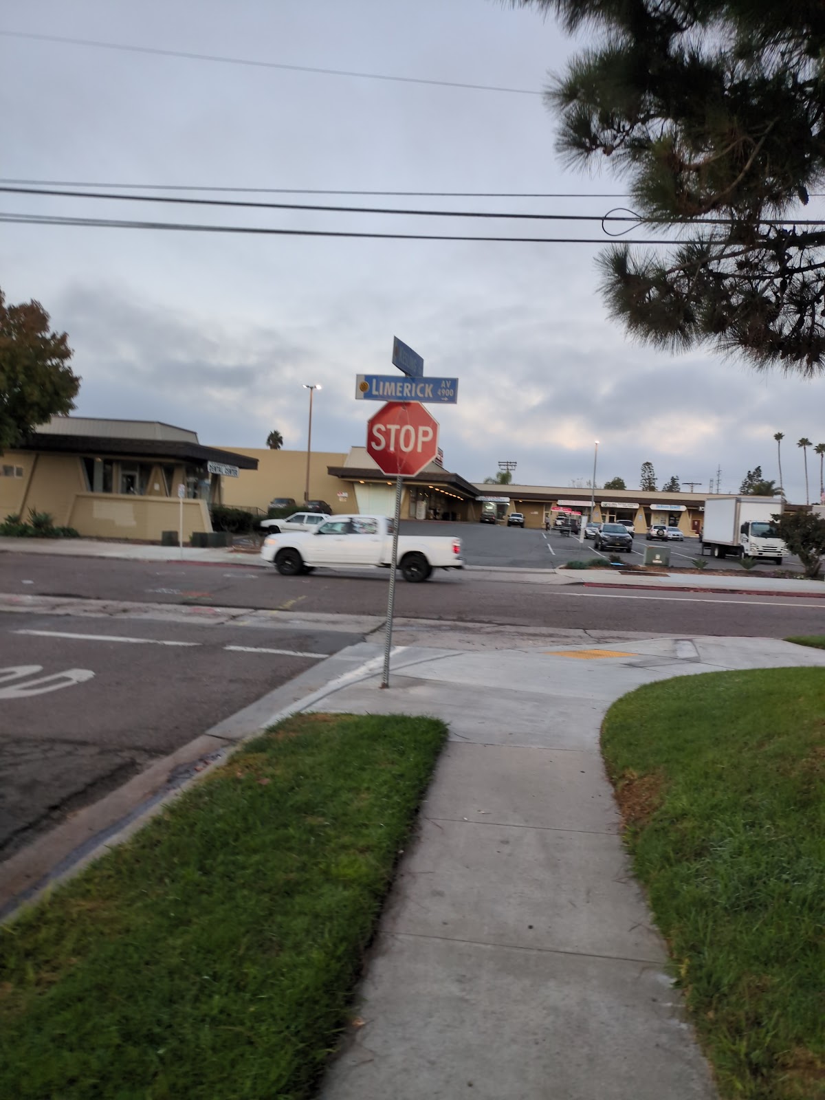 Novellus Clairemont