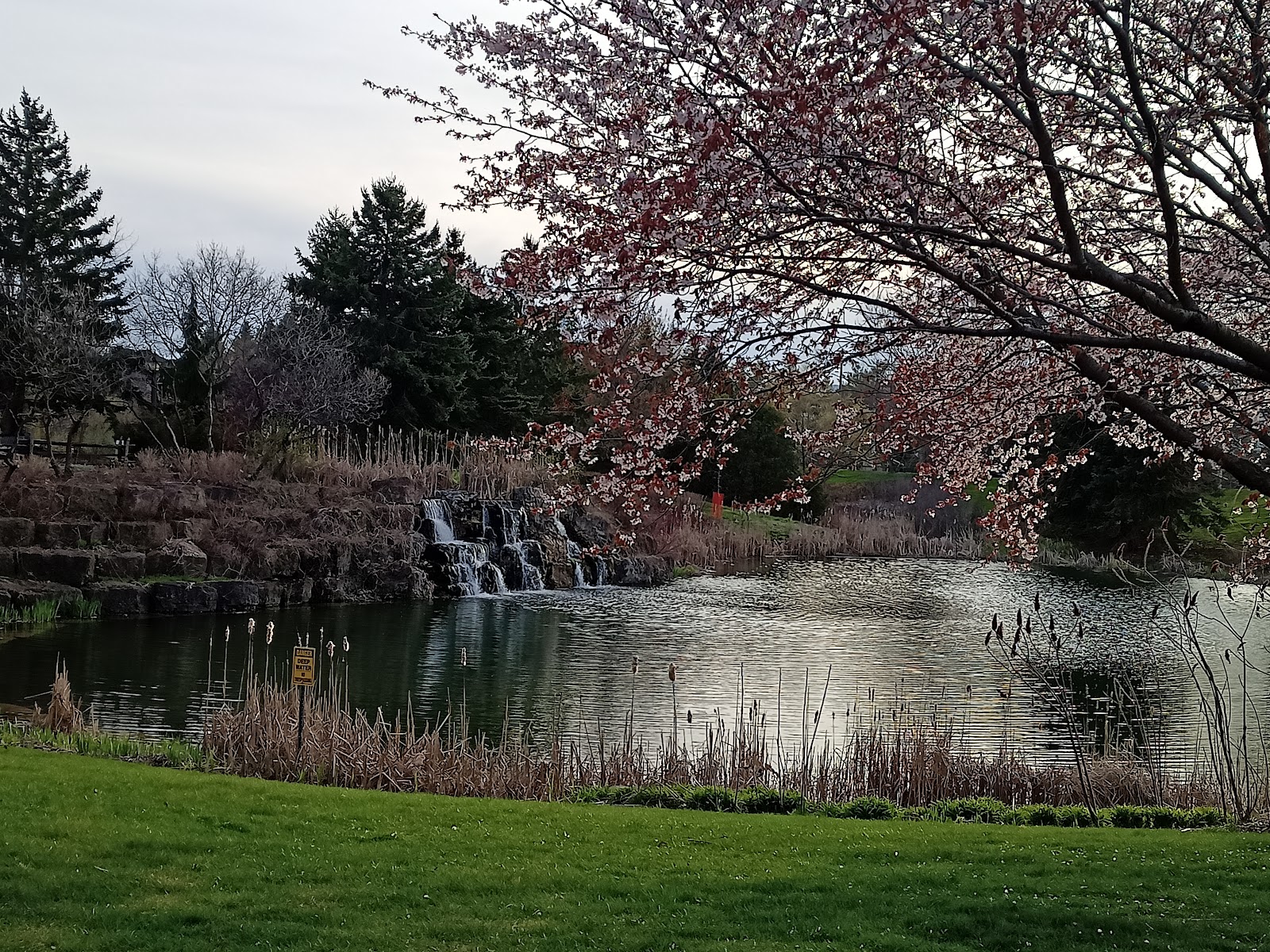 Village by the Arboretum