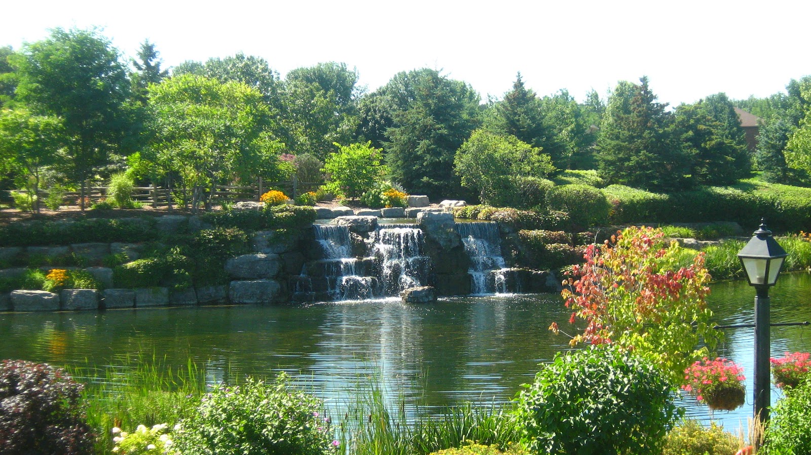 Village by the Arboretum