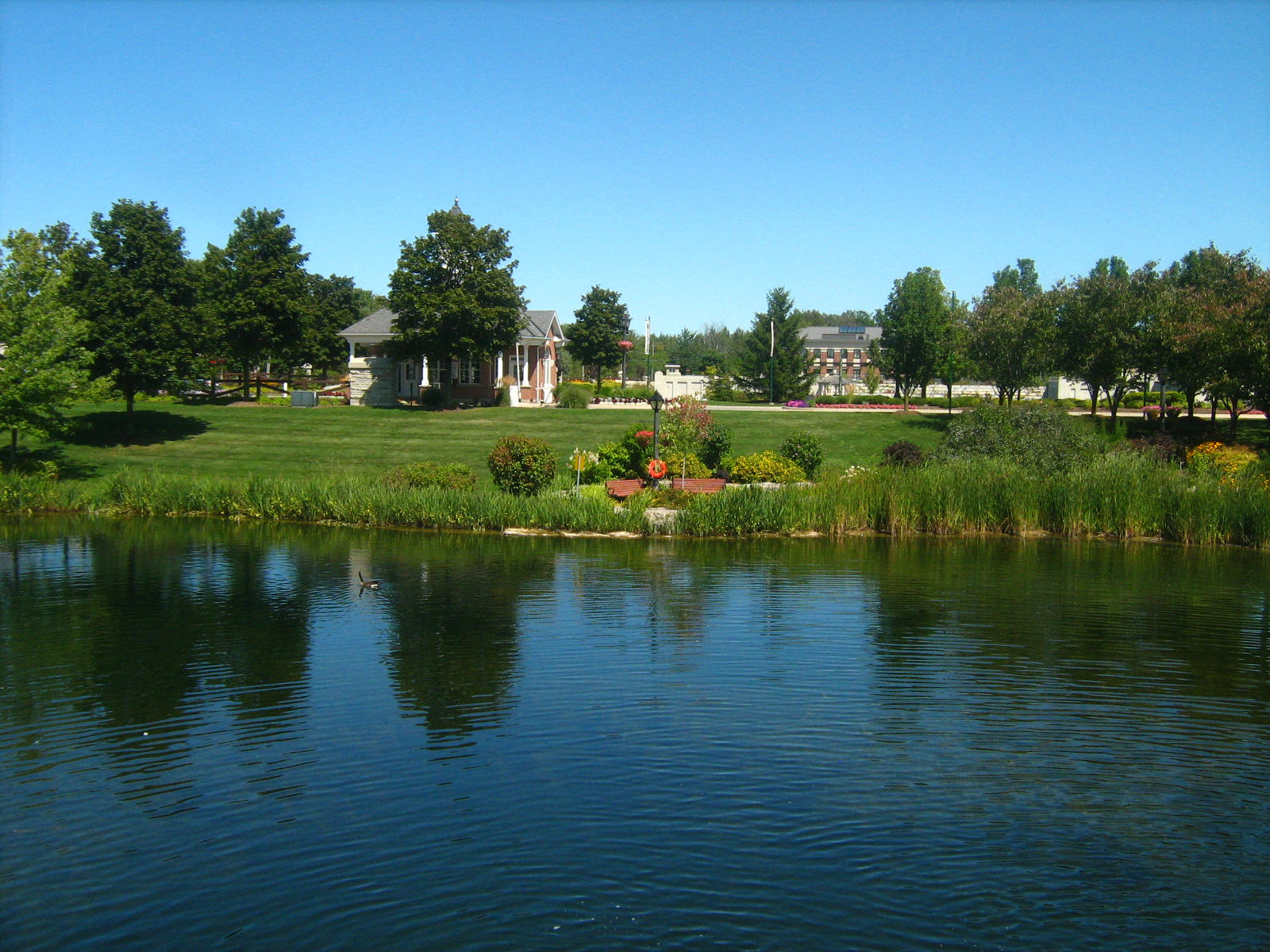 Village by the Arboretum