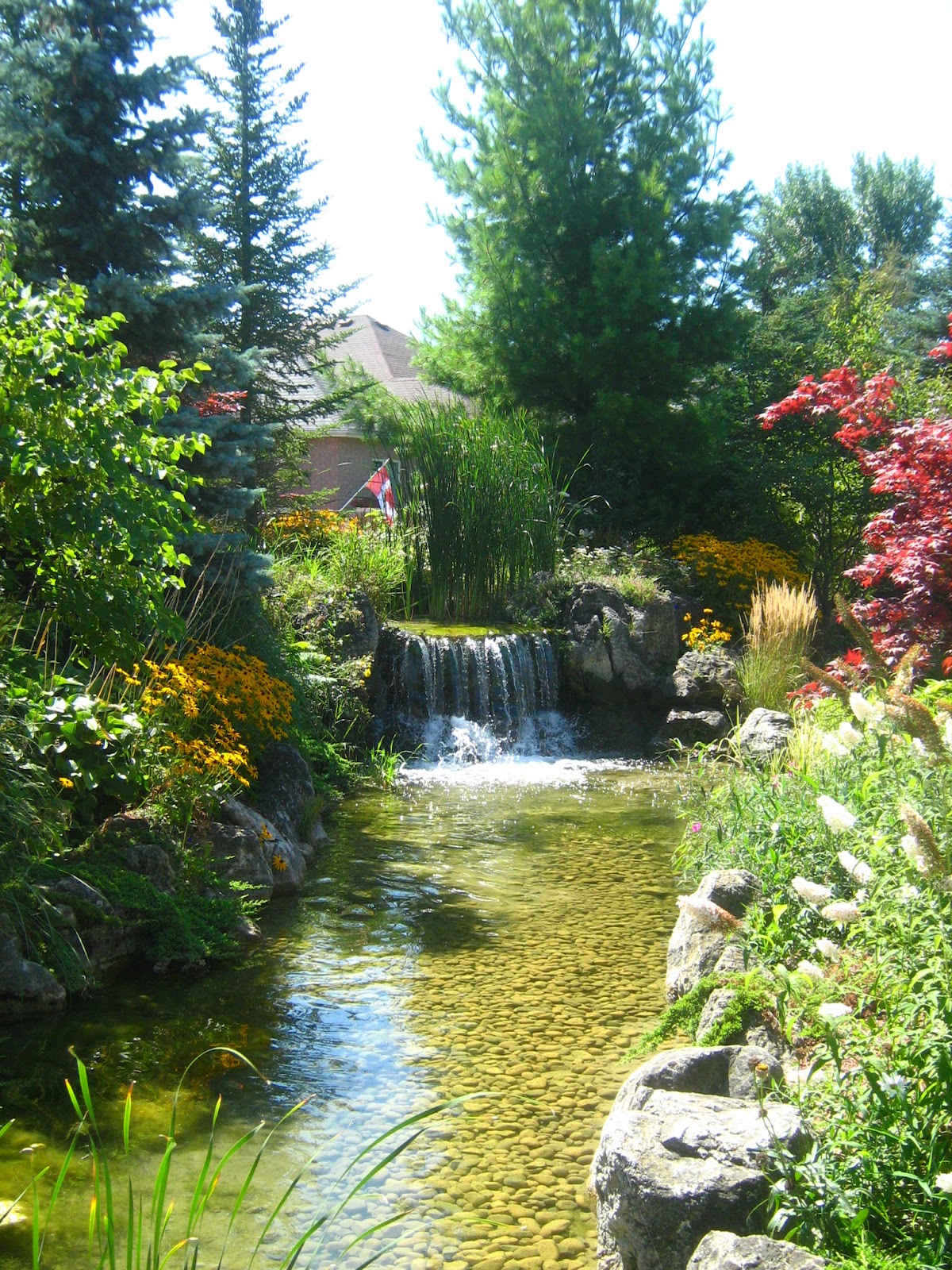Village by the Arboretum
