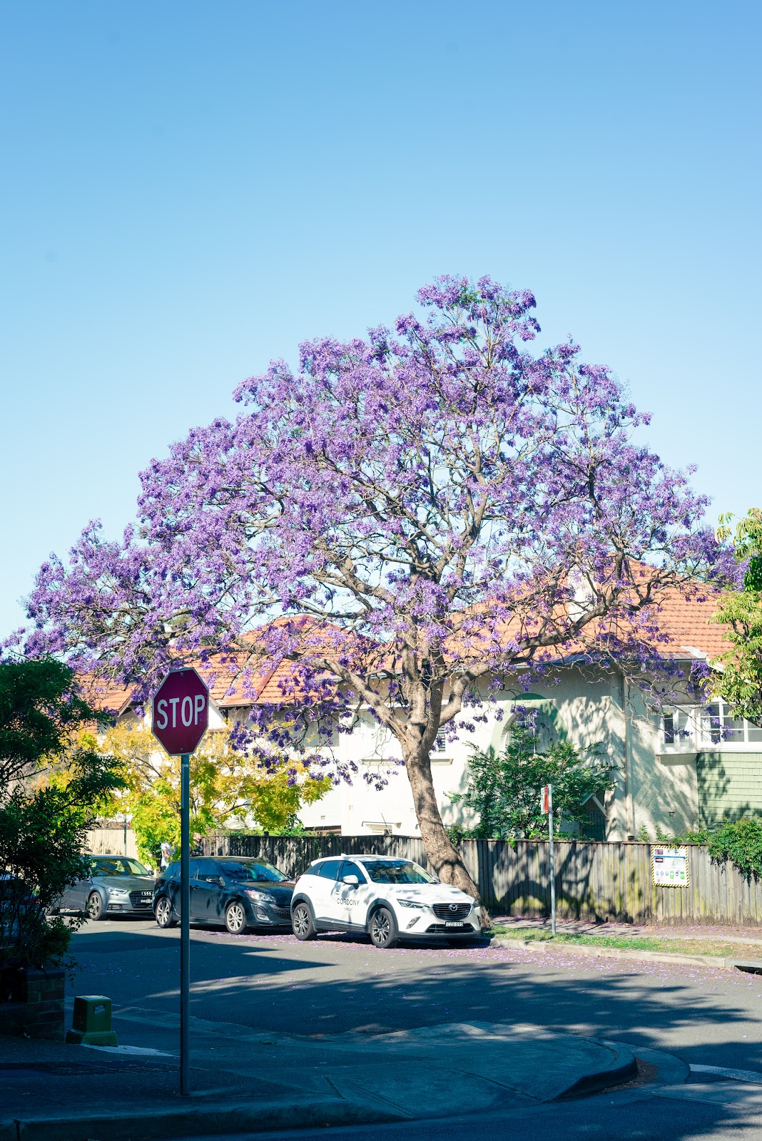 James Milson Retirement Village