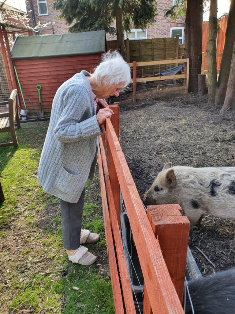 The Bungalow Care Home