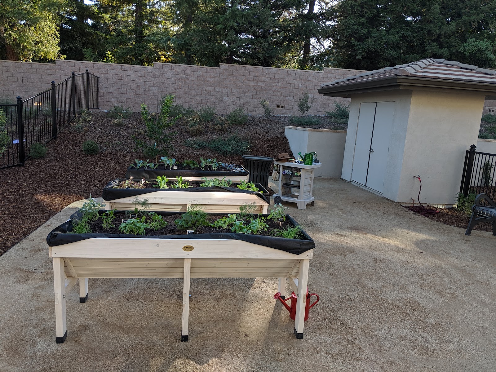 Oakmont of El Dorado Hills
