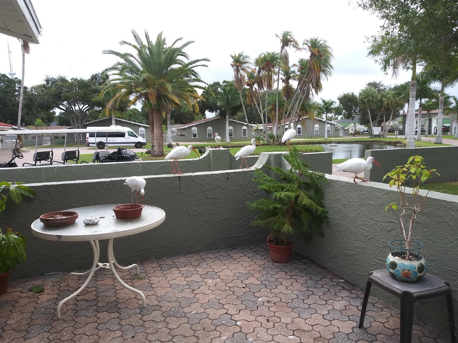 The Villas of Casa Celeste