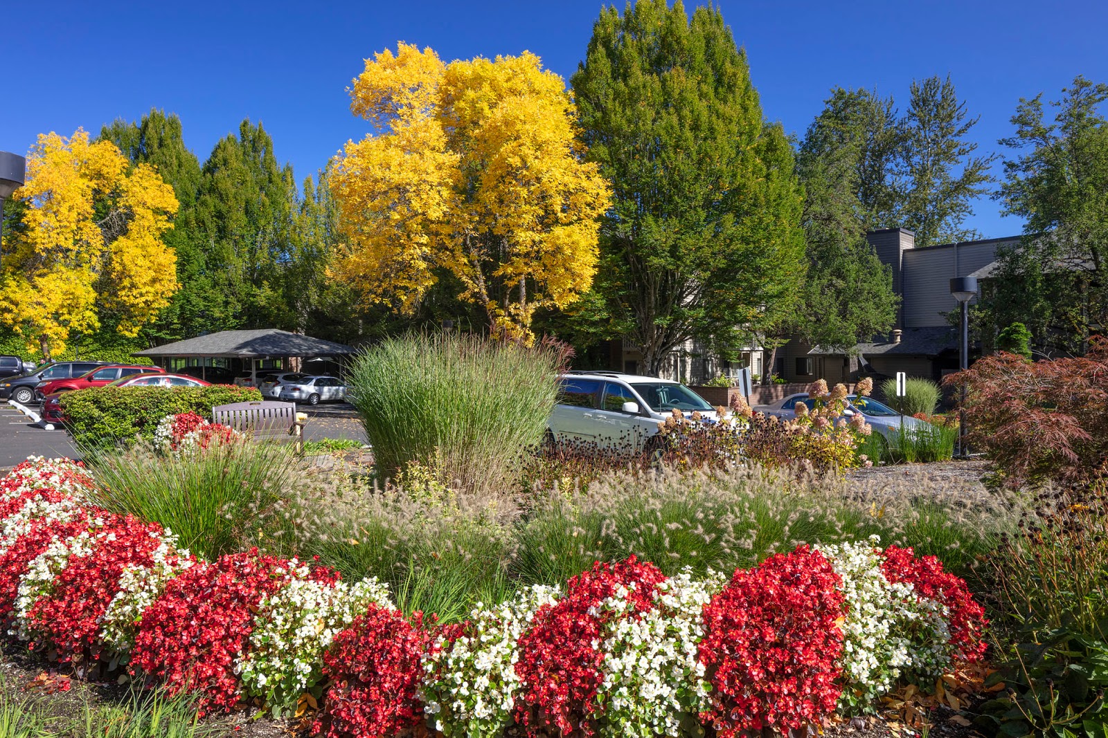 Creekside Village Retirement Residence
