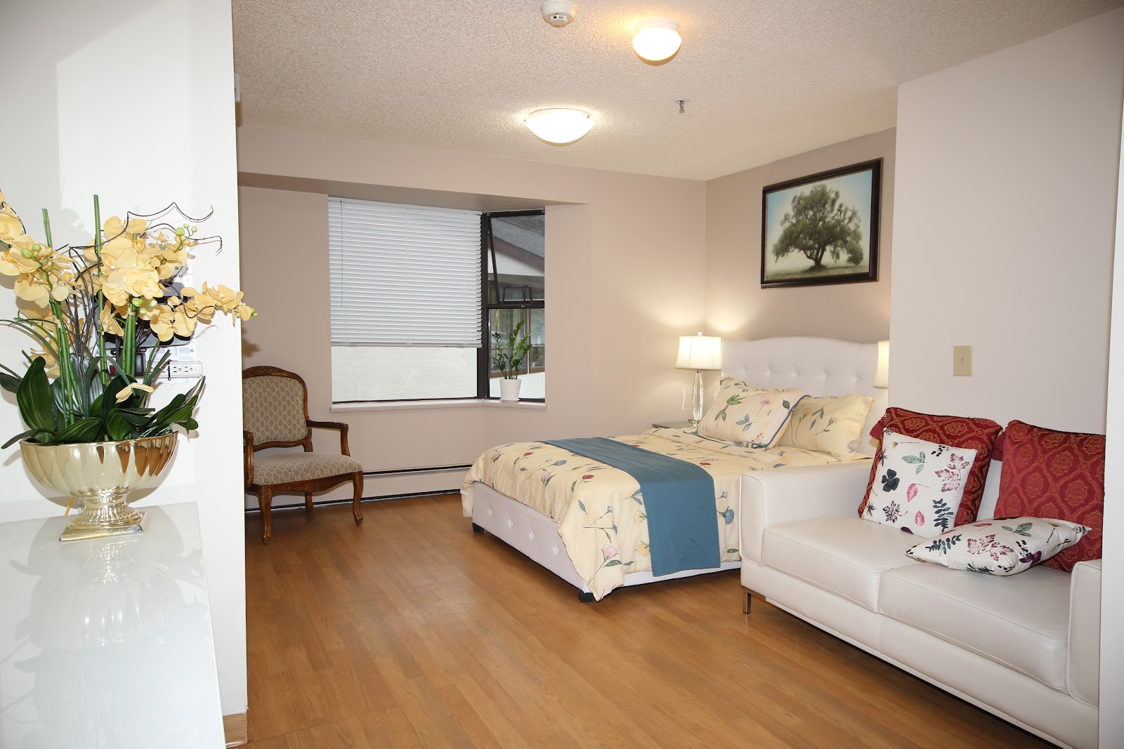 Amenida Seniors' Community