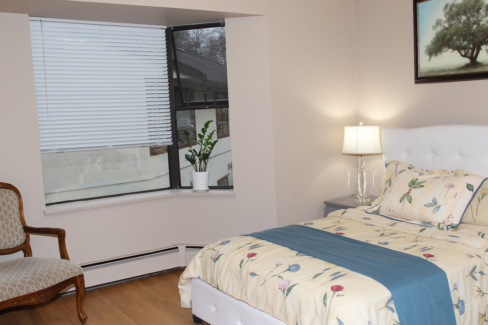 Amenida Seniors' Community