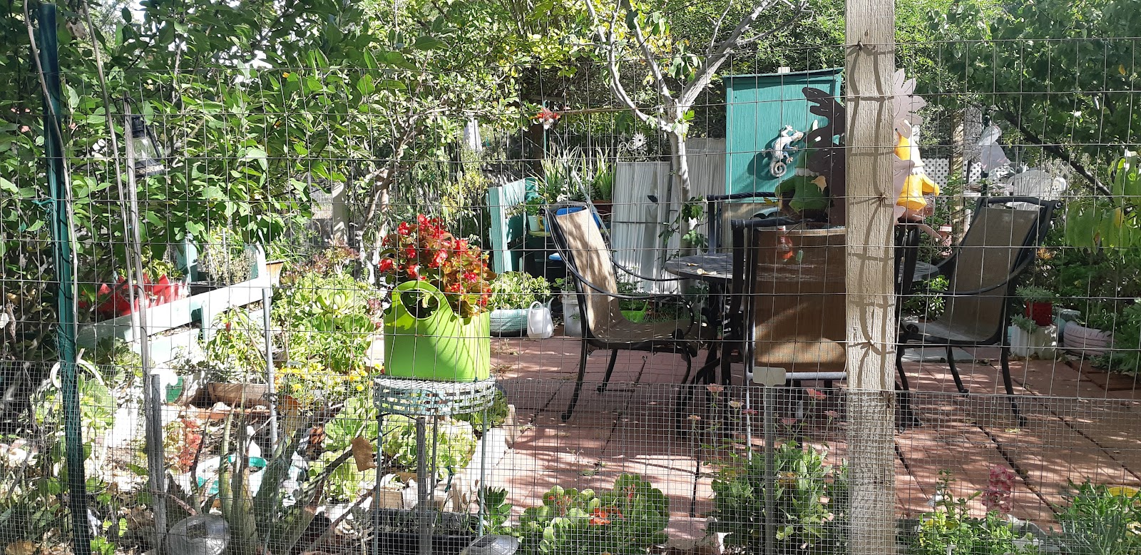 Vintage at Bouquet Canyon Senior Apartments