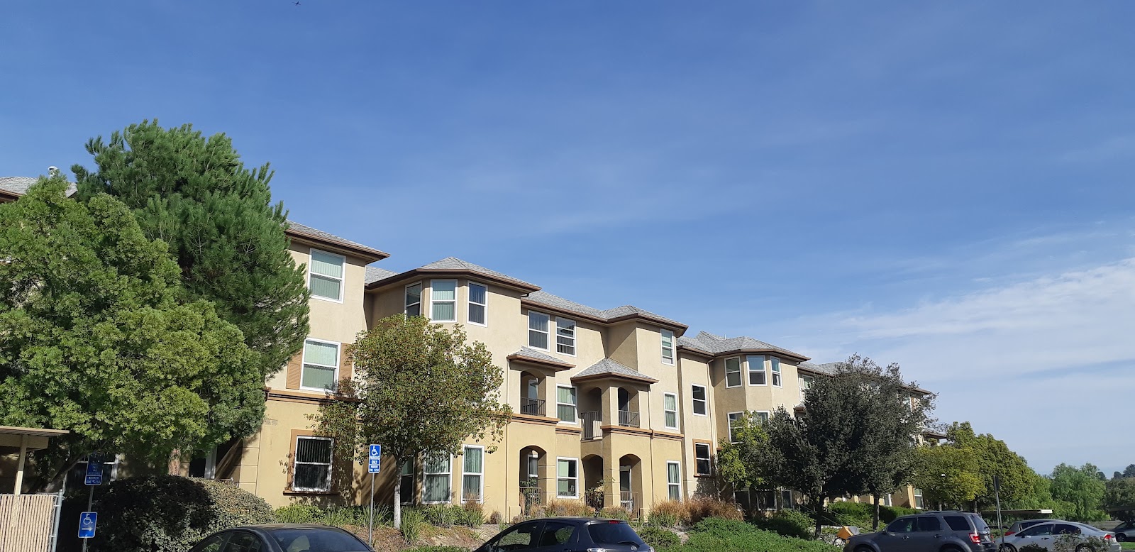 Vintage at Bouquet Canyon Senior Apartments