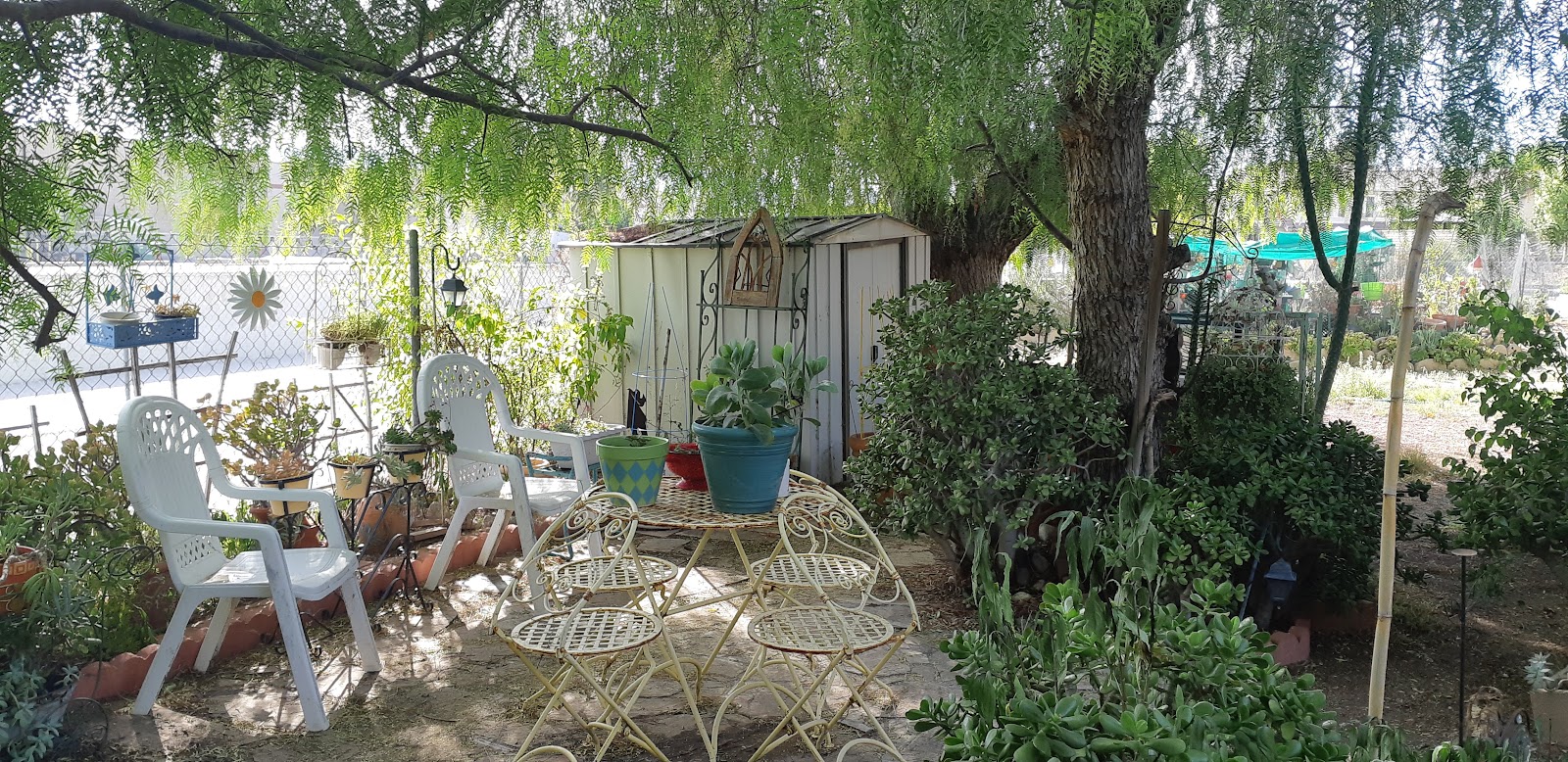 Vintage at Bouquet Canyon Senior Apartments