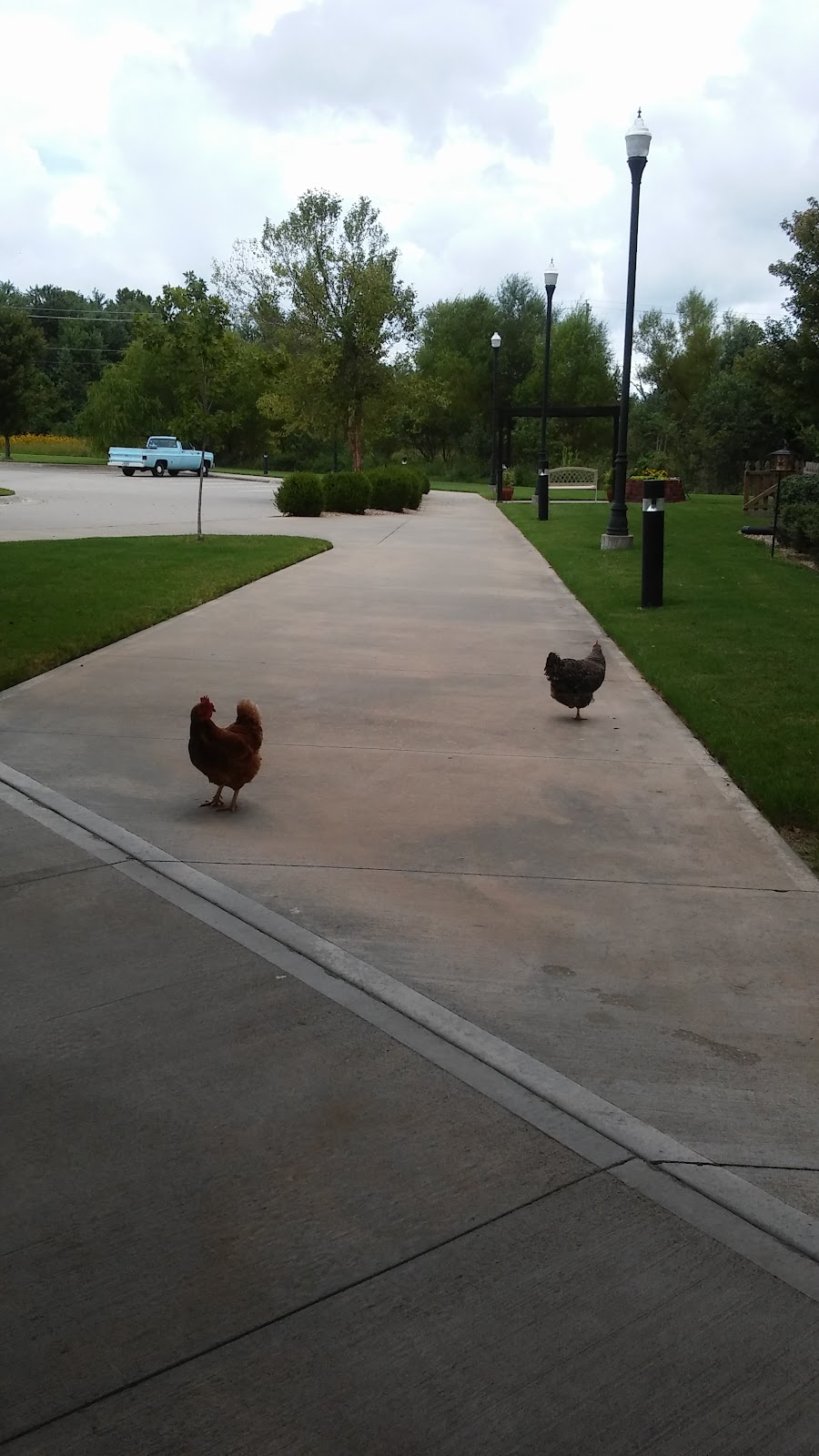 The Meadows Independent & Assisted Living Community