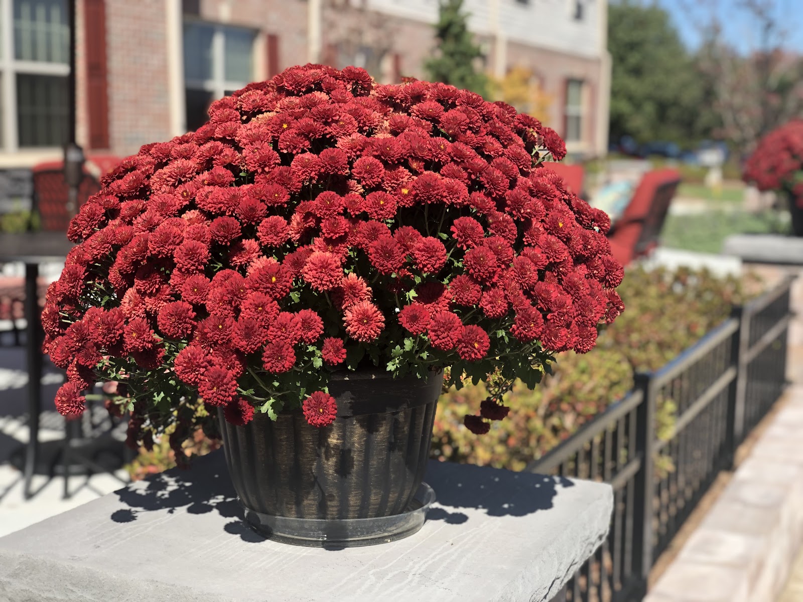 Avalon Assisted Living at Hillsborough