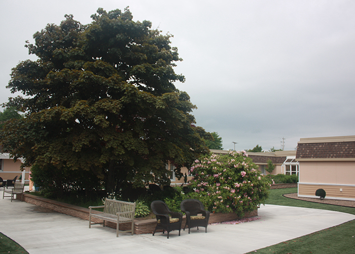 Maplestone Enhanced Care