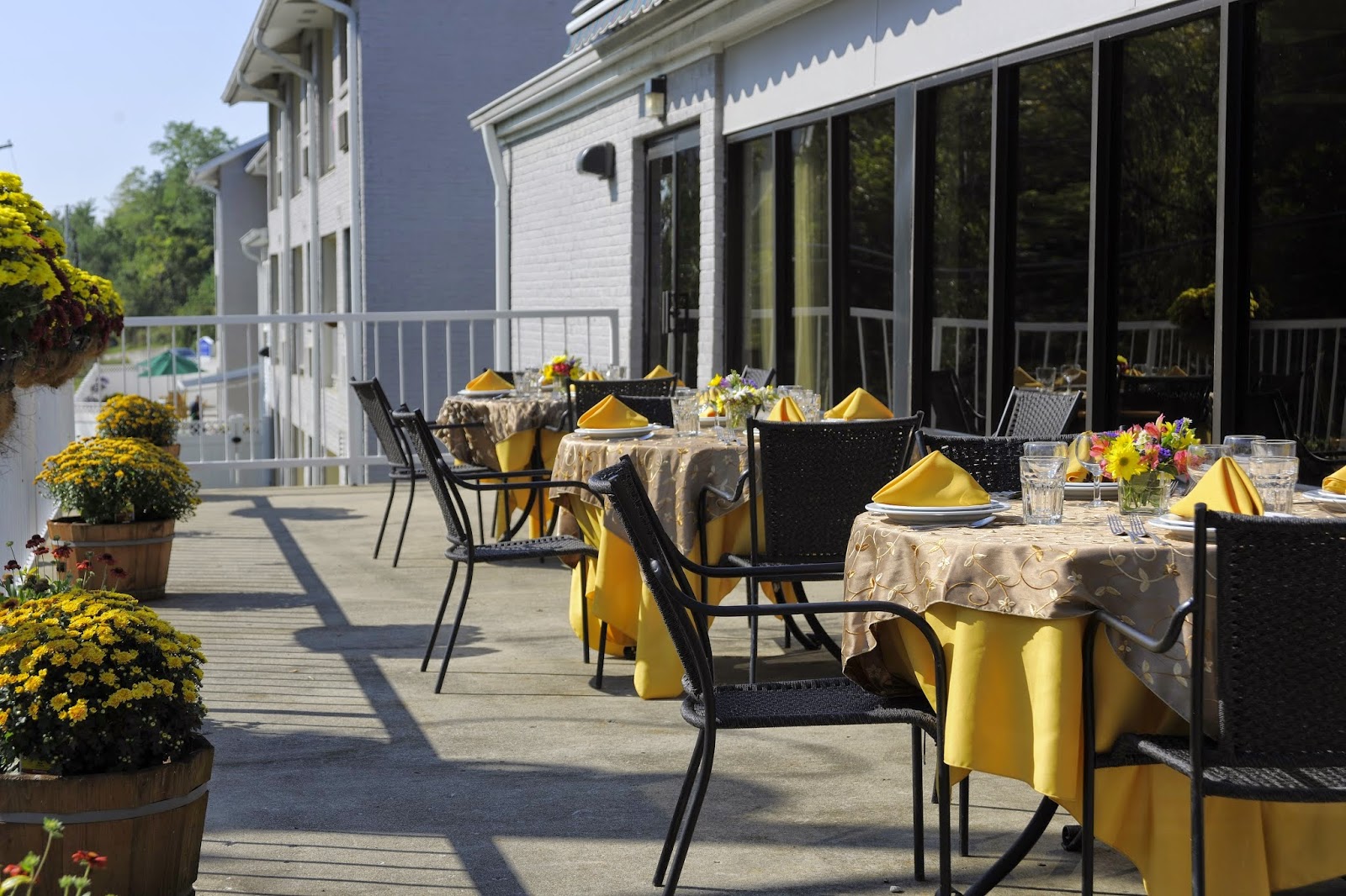 Willow Creek Senior Living