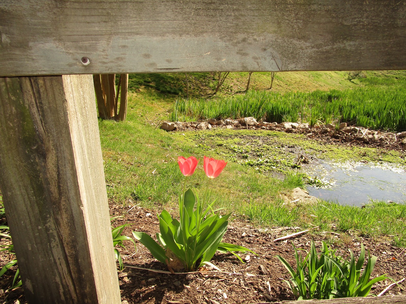 St. Mary's Woods Retirement Community