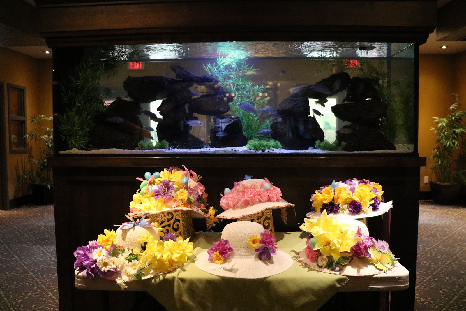 Aspira Pacifica Retirement Living