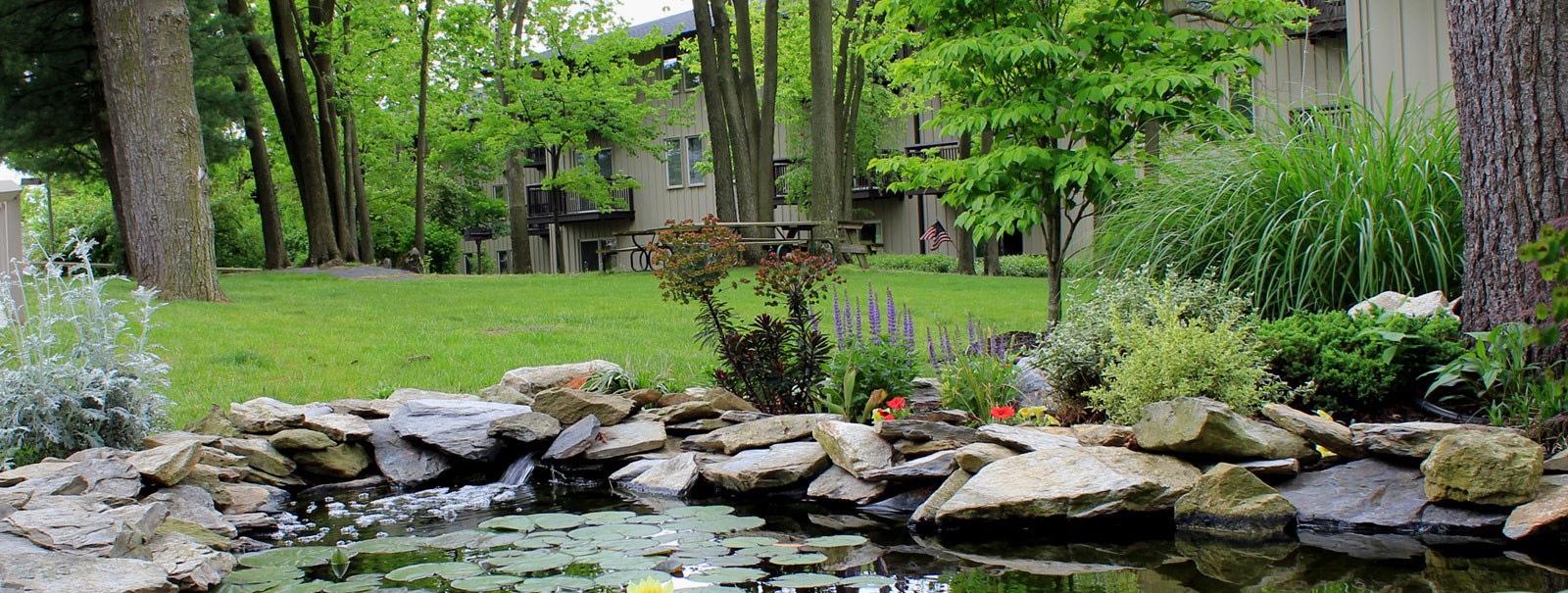 Homewood Living Williamsport