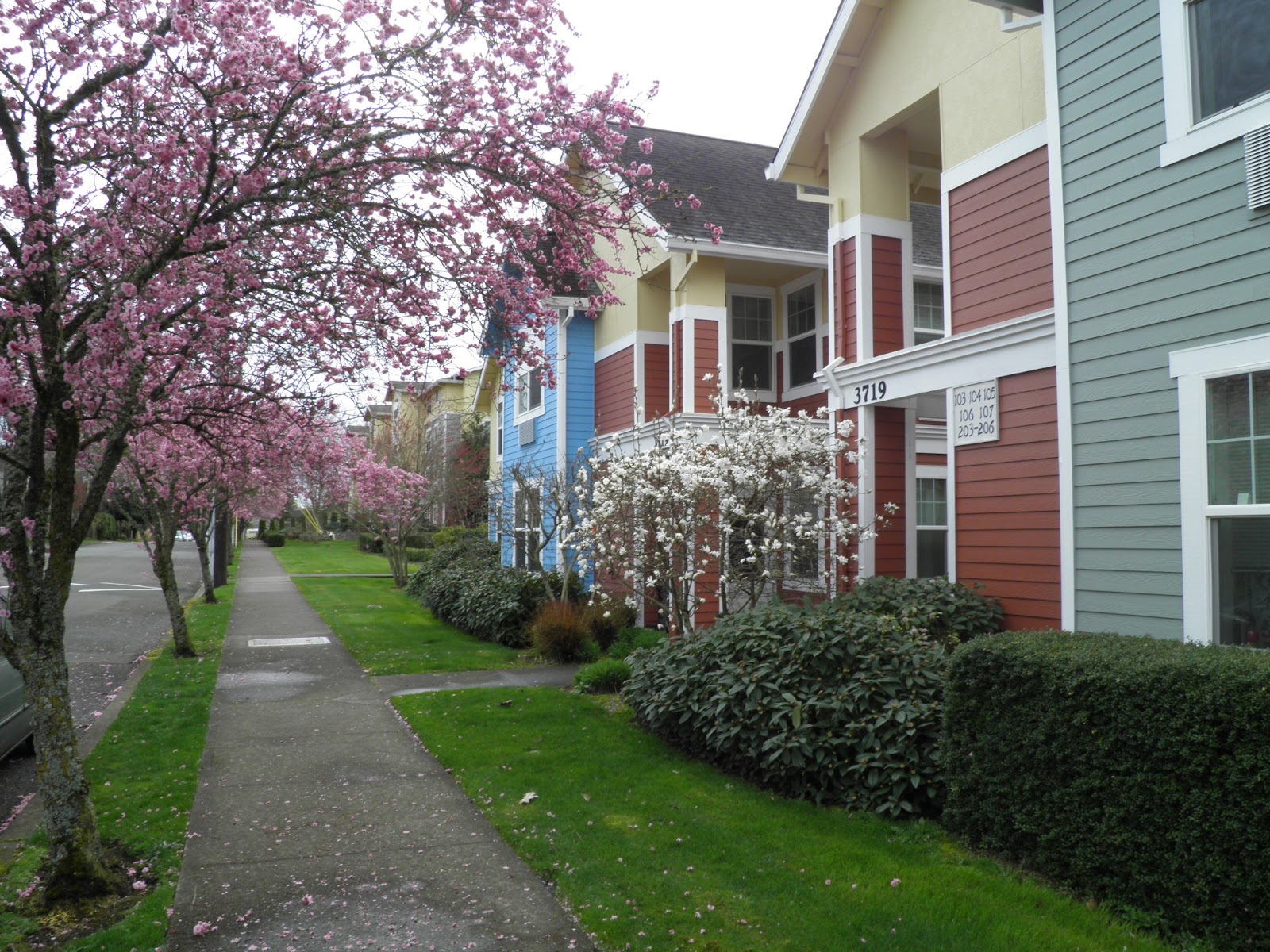 St Anthony Village