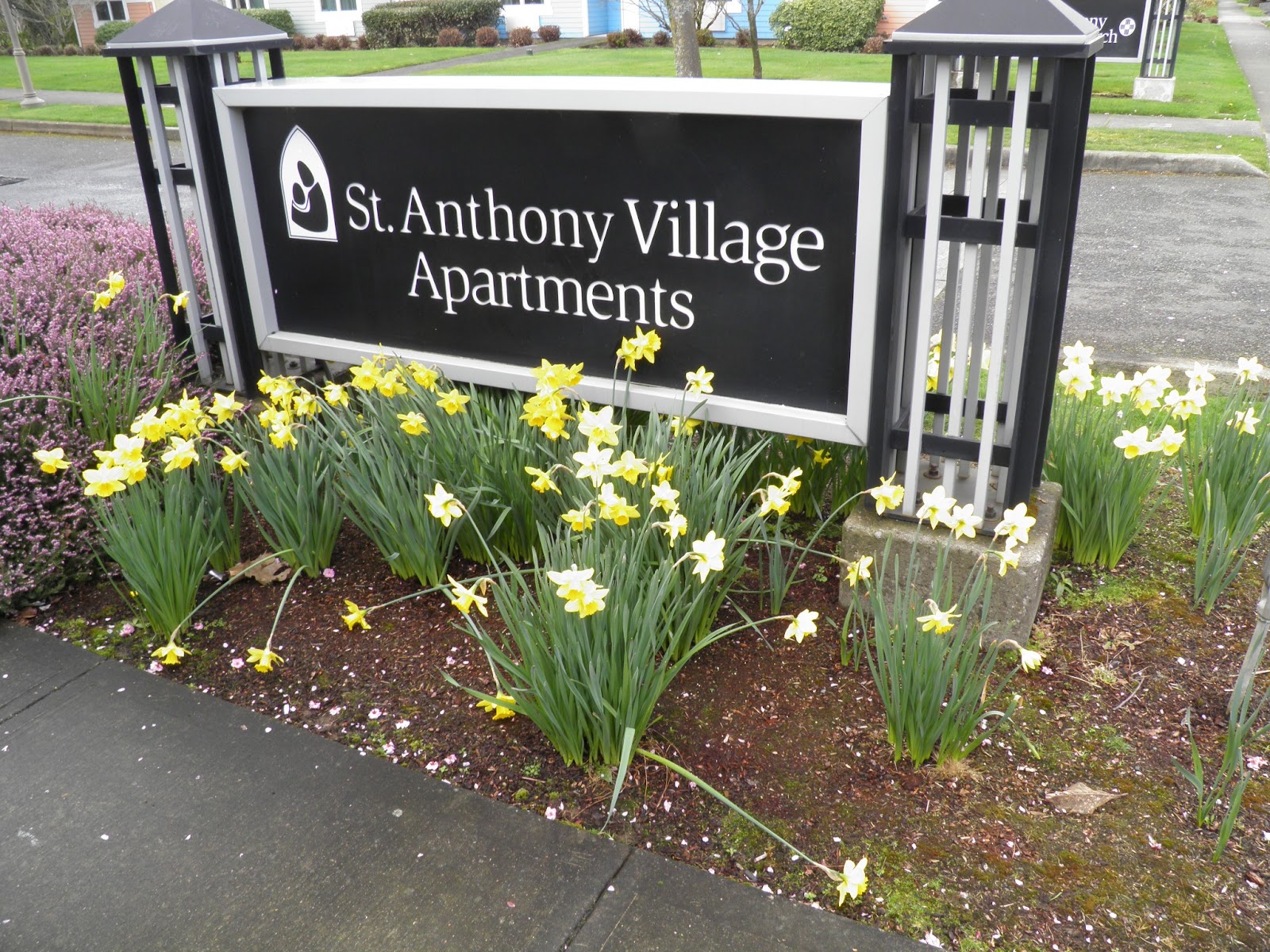 St Anthony Village