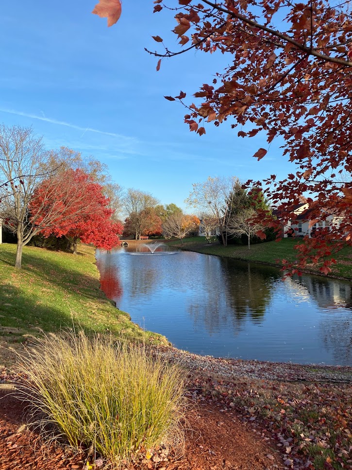 Robin Run Village Senior Living