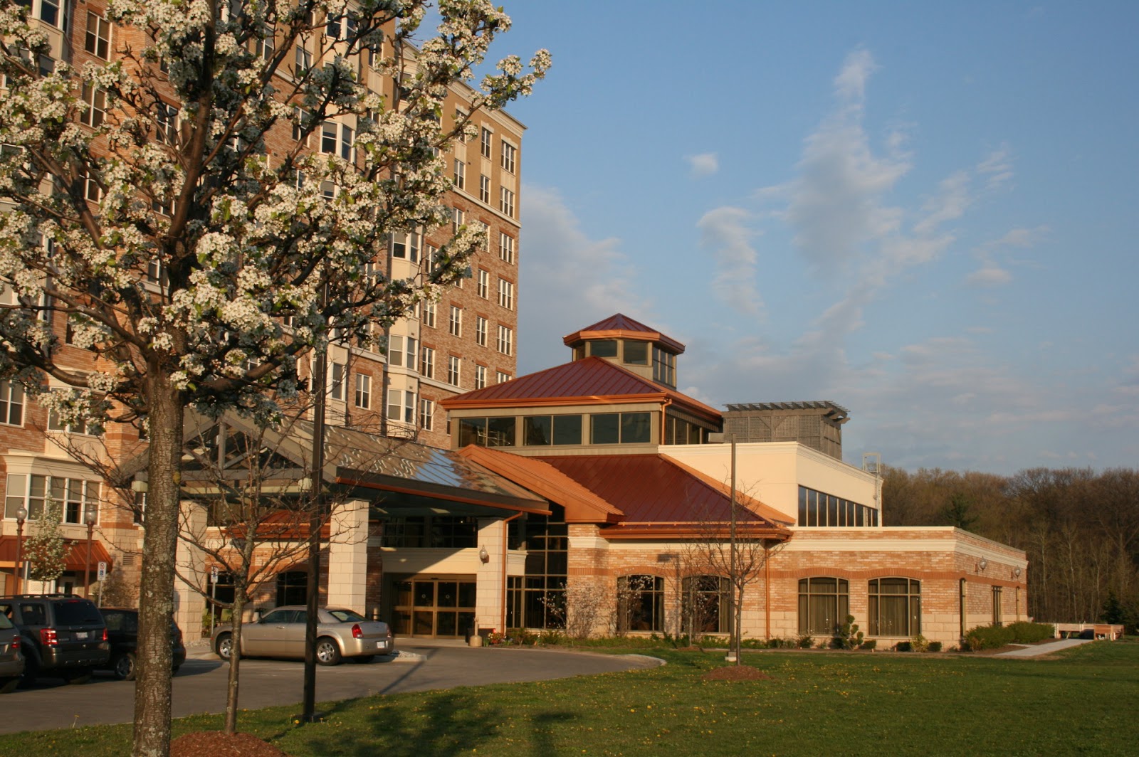 The Village of Tansley Woods