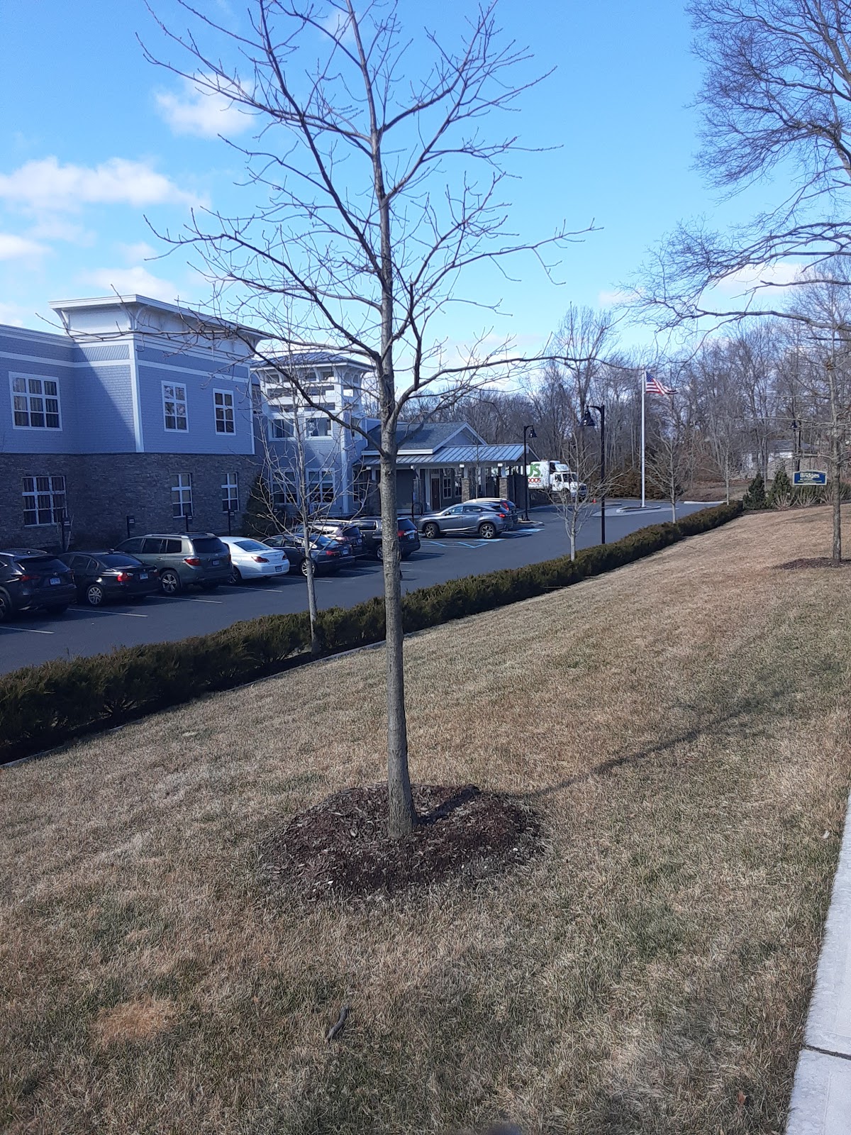 Bridges by EPOCH at Norwalk