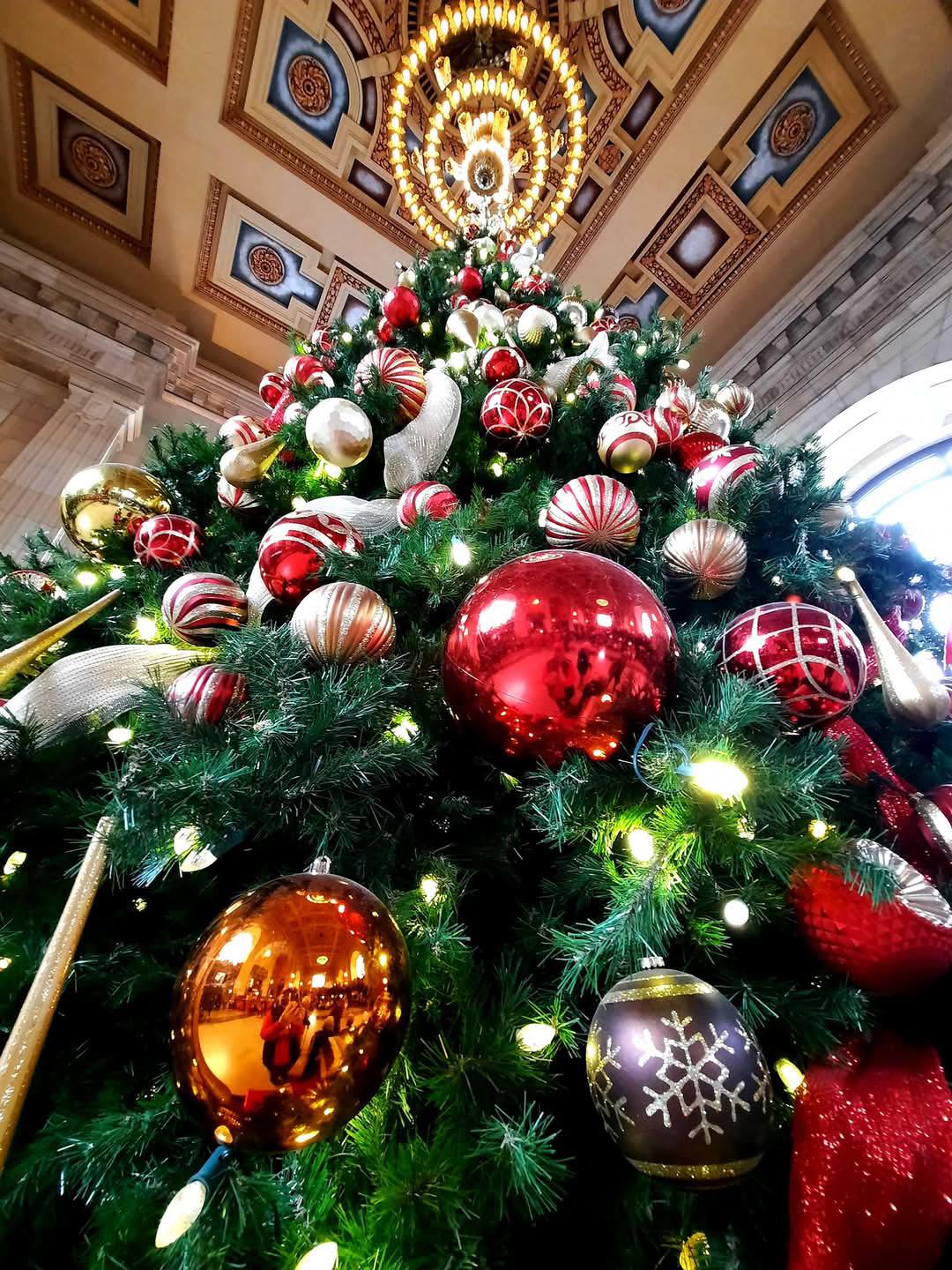 McCrite Plaza at Briarcliff