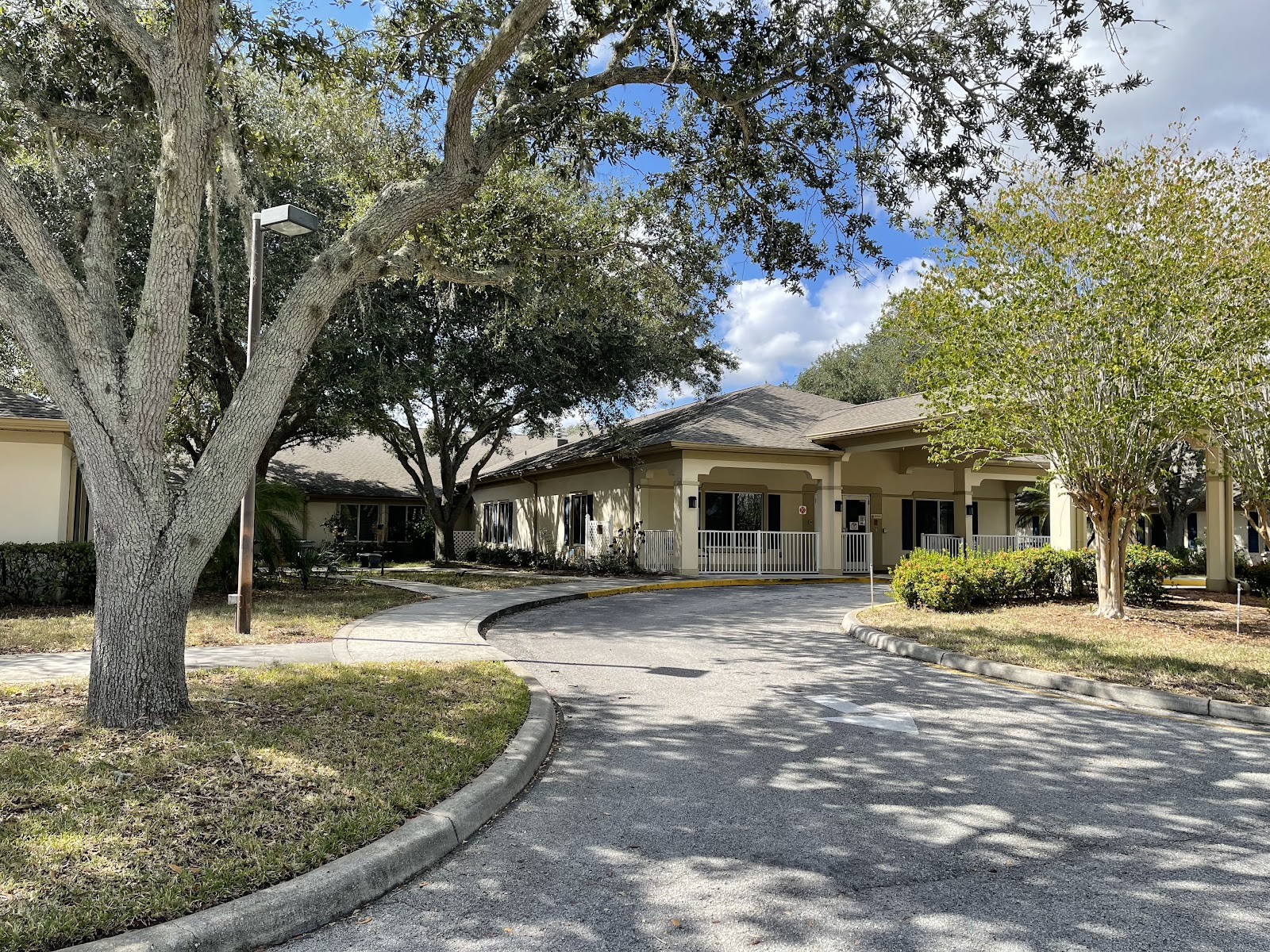 Vivo healthcare winter haven