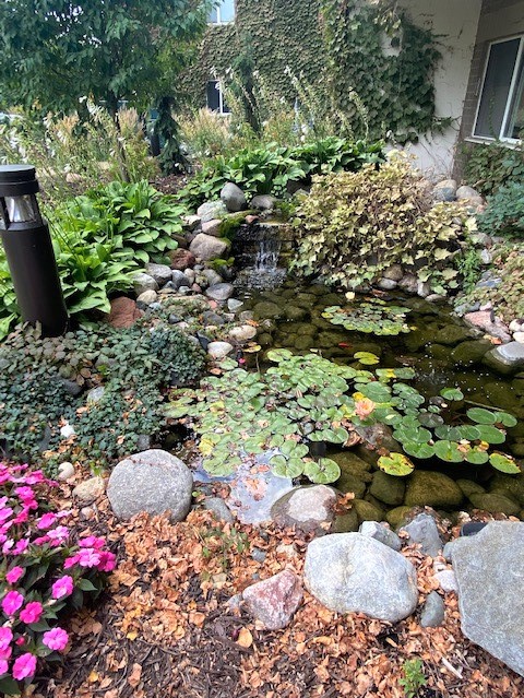 Vernon Terrace of Edina