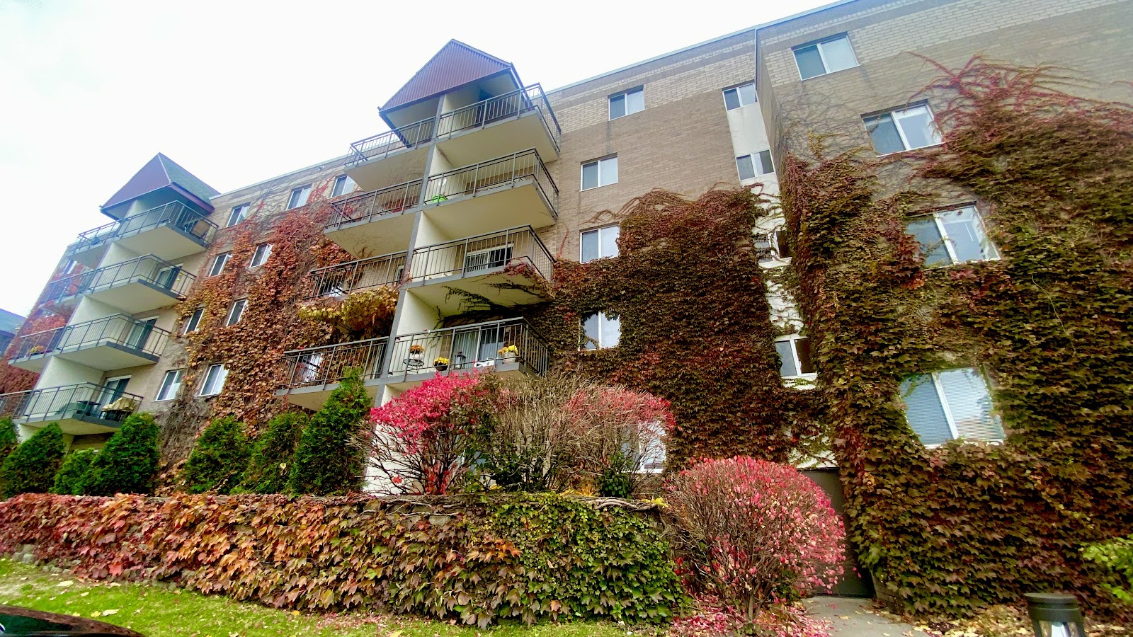 Vernon Terrace of Edina